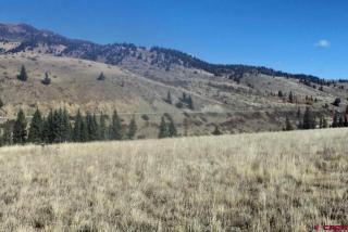 310 Hargraves Dr, Spar City, CO 81130-9632