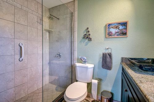 2579 60th Ave, Saint Petersburg FL  33712-5219 exterior