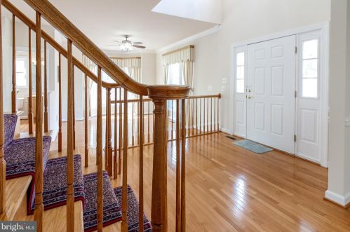 7337 Hooes Rd, Springfield VA 22152-3704 exterior