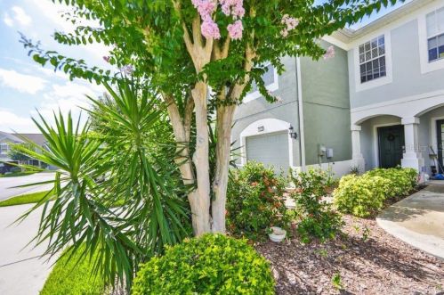 10225 Pink Palmata Ct, Riverview, FL 33578-3627