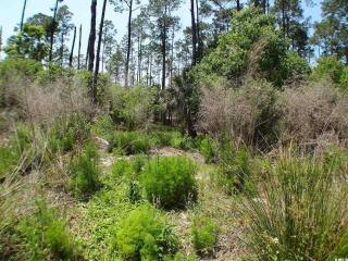 1621 Deanne Dr, Beaufort, SC 29902-4216