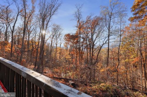 185 Baptist Ln, Linden VA  22642-5660 exterior