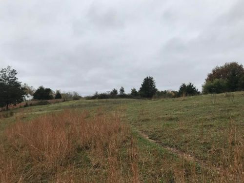 6108 Cline Rd, Knoxville, TN 37938-2311