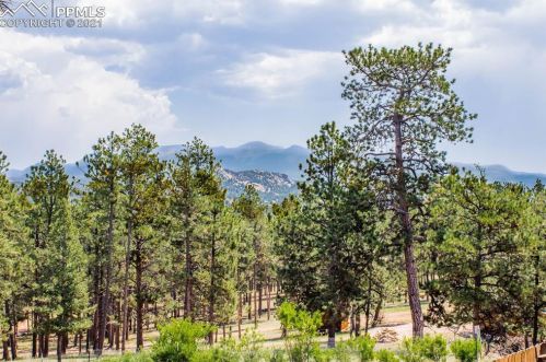 53 Blackhawk Cir, Twin Rock, CO 80816-9031