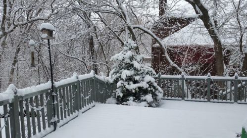 668 Crimson Leaf Trl, Saint Paul MN 55123-3045 exterior