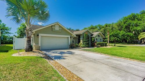 26116 Corkwood Ct, Land O Lakes, FL 34639-5612