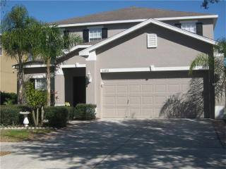 11271 Creek Haven Dr, Riverview, FL 33569-6209