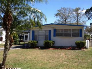 13528 Palm Dr, Astatula, FL 34705-9629