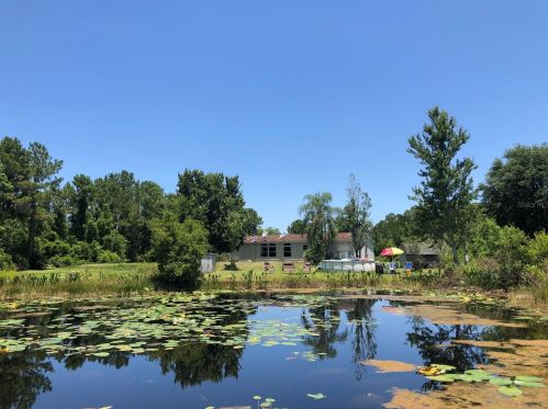 32820 Forest Dr, Deland, FL 32720-4714