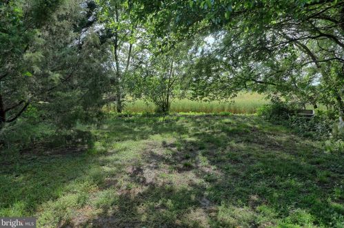 14140 Union Street Ext, Milton DE  19968-2662 exterior