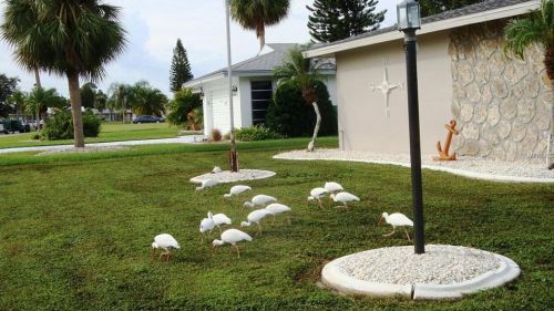 138 Annapolis Ln, Placida FL  33947-2203 exterior