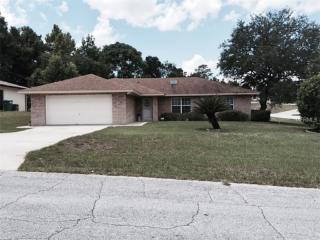 501 Gondolier Ter, Deltona, FL 32725-3262