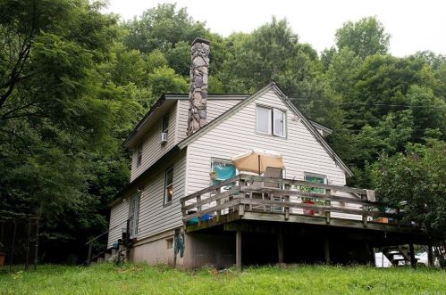 145 White Roe Lake Rd, Lew Beach, NY 12758-5022