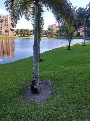 7290 Ashford Pl, Delray Beach FL  33446-2945 exterior