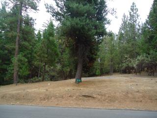 12088 Breckenridge Rd, Groveland, CA 95321-9507