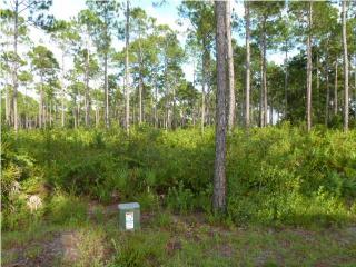 138 Lightning Bug Ln, Saint Teresa FL  32358-2811 exterior