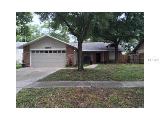 10050 Chesham Dr, Orlando, FL 32817-3282