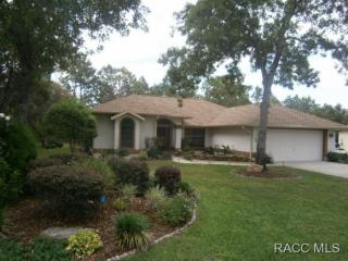 20 Pawpaw Ct, Homosassa, FL 34446-4050