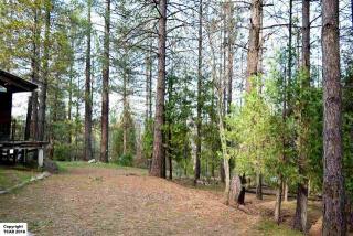10690 Bucktail Dr, Groveland, CA 95321-9759
