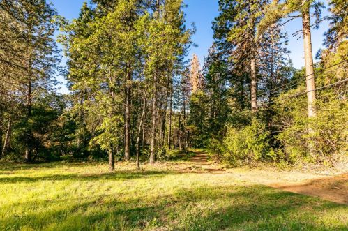 2335 Sliger Mine Rd, Greenwood CA  95635-9605 exterior