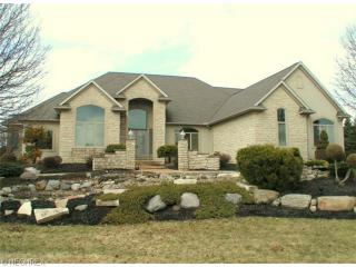 4091 Montauk Pointe, Medina, OH 44256-6547