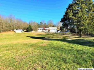 167 Mcgovern Rd, Hartselle, AL 35640-7717