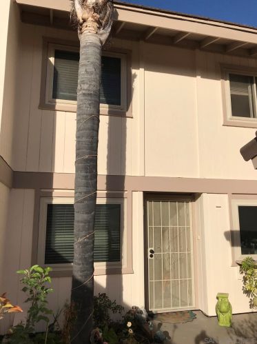 11230 Poblado Rd, San Diego, CA 92127-1308