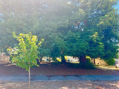 41 Westgate Cir, Santa Rosa CA  95401-9013 exterior