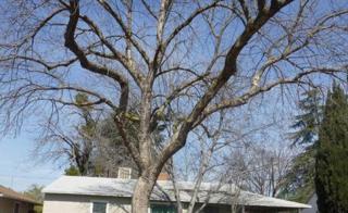 816 Terrace Ave, Fresno, CA 93704-5540