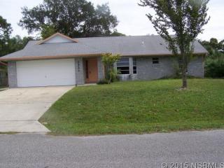 2523 Sabal Palm Dr, Edgewater, FL 32141-4915