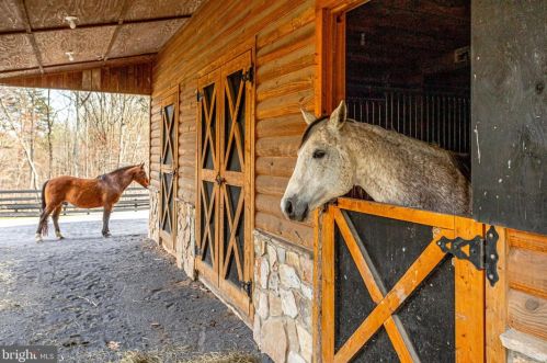 3714 Mountain Rd, Haymarket VA  20169-1739 exterior