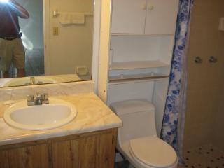 305 Lariat Ln, Kissimmee FL  34743-7537 exterior