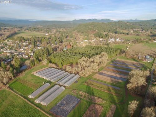 38177 Queens Rd, Marcola OR  97454-9731 exterior