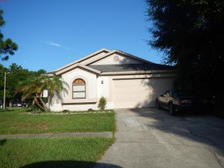 1413 Wickford Pl, Brandon, FL 33511-1872