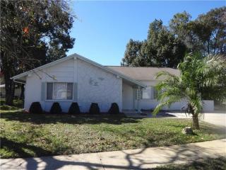 12913 Sunhill Cir, Port Richey, FL 34667-2748