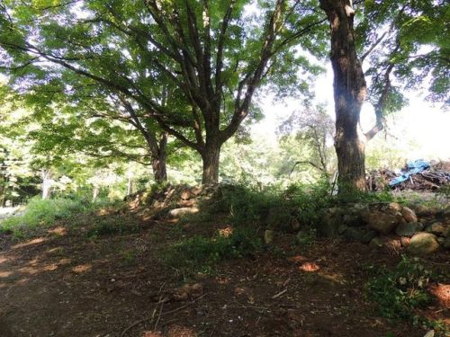 14 Town Farm Rd, Monson, MA 01057-9605