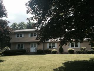 809 Westmoreland Dr, Schenectady, NY 12309-4915