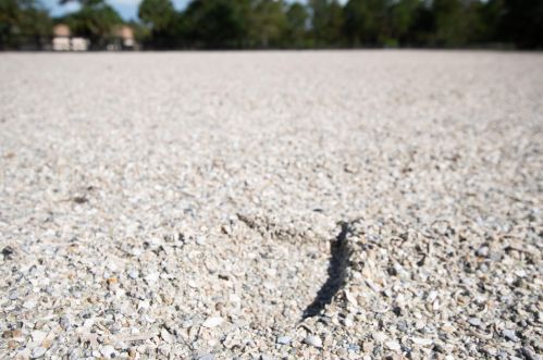 2562 Prarieview Dr, Town Of Loxahatchee Groves FL  33470-2572 exterior