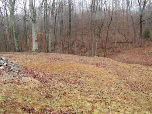 935 Keen Hollow Rd, Westmoreland, TN 37186-5321