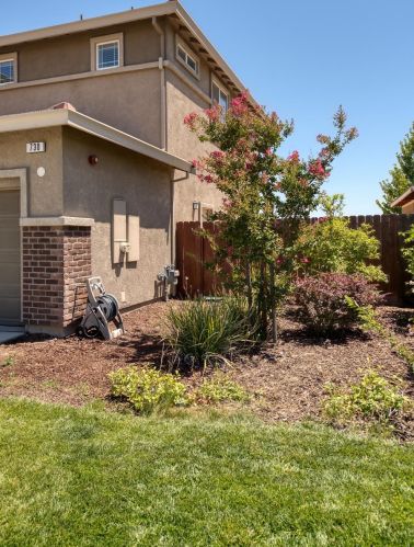 730 Sawtooth St, Manteca CA  95337-7827 exterior