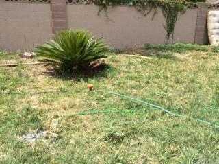 15309 Stanton Ave, La Mirada, CA 90638-5131
