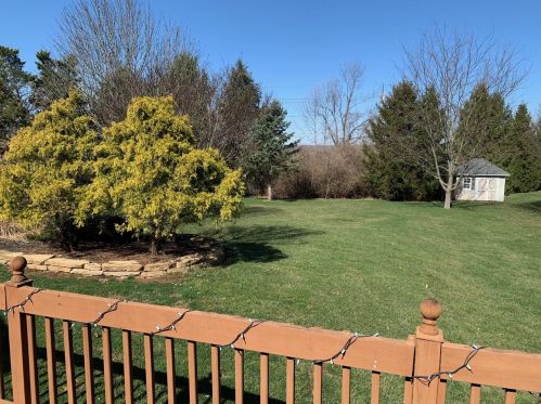 2408 Schroff Dr, Liberty Township, OH 45042