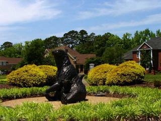 319 Scone Castle Loop, Chesapeake, VA 23322-2192