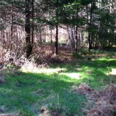67 Badger Rd, Hoquiam, WA 98550-9416