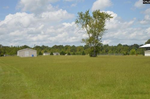 448 Blackville Rd, Gaston, SC 29053-8720