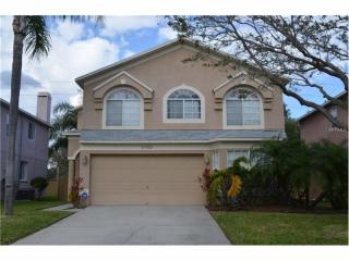 1703 Split Fork Dr, Oldsmar, FL 34677-2768