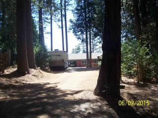 26746 Wagon Wheel Dr, Pioneer, CA 95666-9462