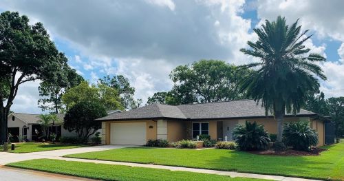 3533 Fairway Forest Dr, Palm Harbor, FL 34685-1003