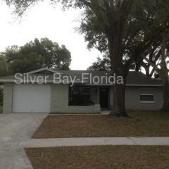 1016 Sagamore Dr, Seffner FL  33584-5052 exterior