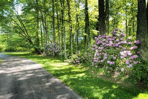 2712 Christopher Ln, Stonelick, OH 45103-9506
